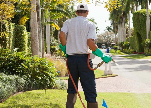 About East Fairfield VT Pest Control